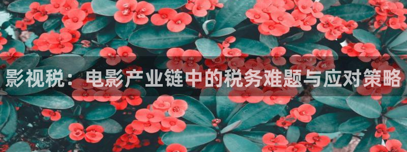 717秋霞神马电影