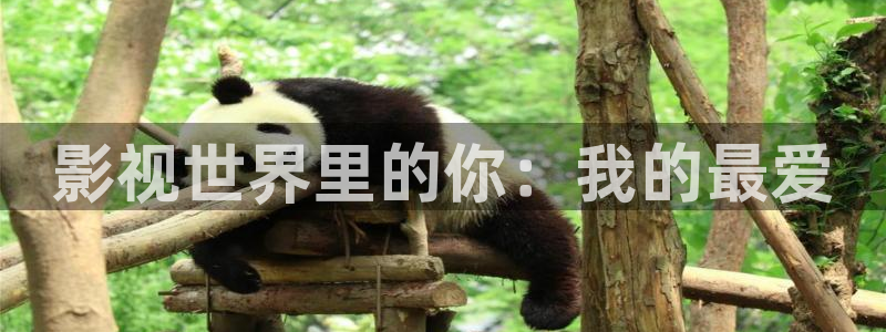80s电影秋霞网：影视世界里的你：我的最爱
