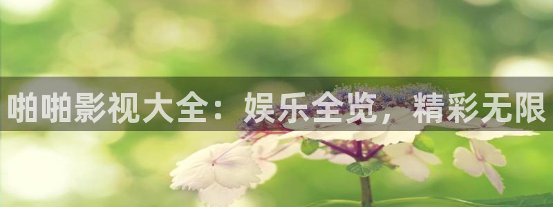 秋霞影视久久：啪啪影视大全：娱乐全览，精彩无限