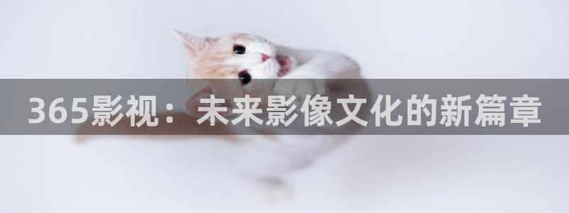 秋霞电影网免费